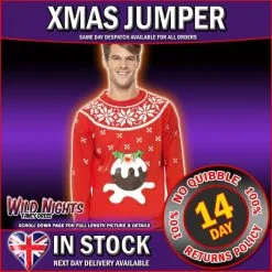 Adult Christmas Pudding Light Up Jumper