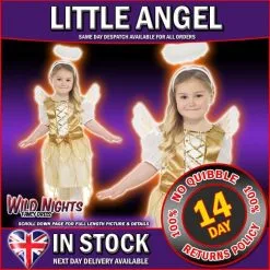 Christmas Fancy Dress Angel Fairy Dress