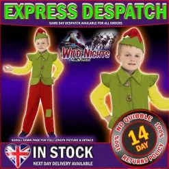 Christmas Fancy Dress Elf Boy Costume