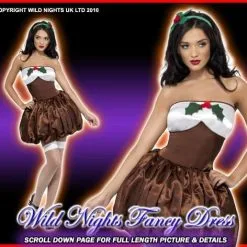 Smiffys Christmas Fancy Dress Fever Sexy Saucy Christmas Pud Costume