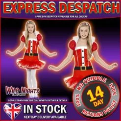 Christmas Fancy Dress Girls Little Miss Santa Costume