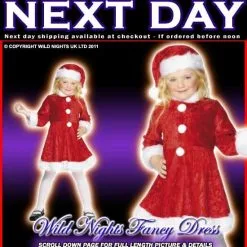 Smiffys Christmas Fancy Dress Girls Mini Miss Santa