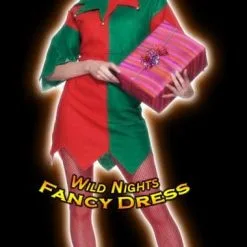 Smiffys Christmas Fancy Dress Ladies Santa Helper Elf Costume