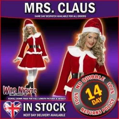 Christmas Fancy Dress Miss Santa Costume