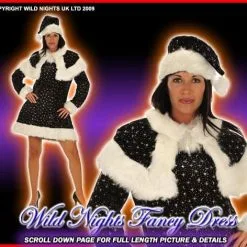 Creative Christmas Fancy Dress Miss Wizard Costume Size 10-12