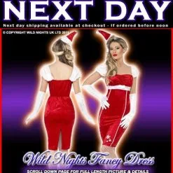 Smiffys Christmas Fancy Dress Pin Up Miss Santa Costume