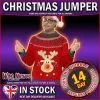 Smiffys Christms Fancy Dress Rudolf Flashing Jumpser