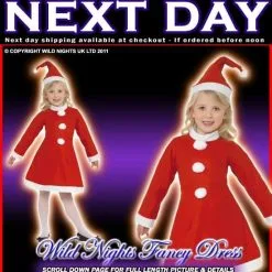 Chrostmas Fancy Dress Girls Value Santa Large Age 9-12