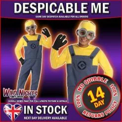 DESPICABLE ME BOYS MINION COSTUME DAVE SMALL AGE 3-4