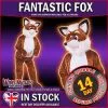 Wicked Fantastic Fox Adult Animal Mr Mascot Costumes Zoo Farmyard