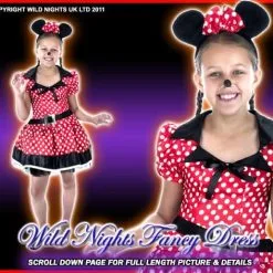 Funshack Girls Little Missy Mouse Costume
