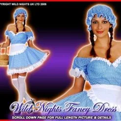 Henbrandt Ladies Fairytale Dorothy Costume