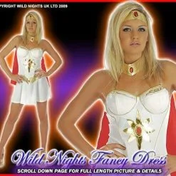 Funshack Ladies Princess Of Power Costume